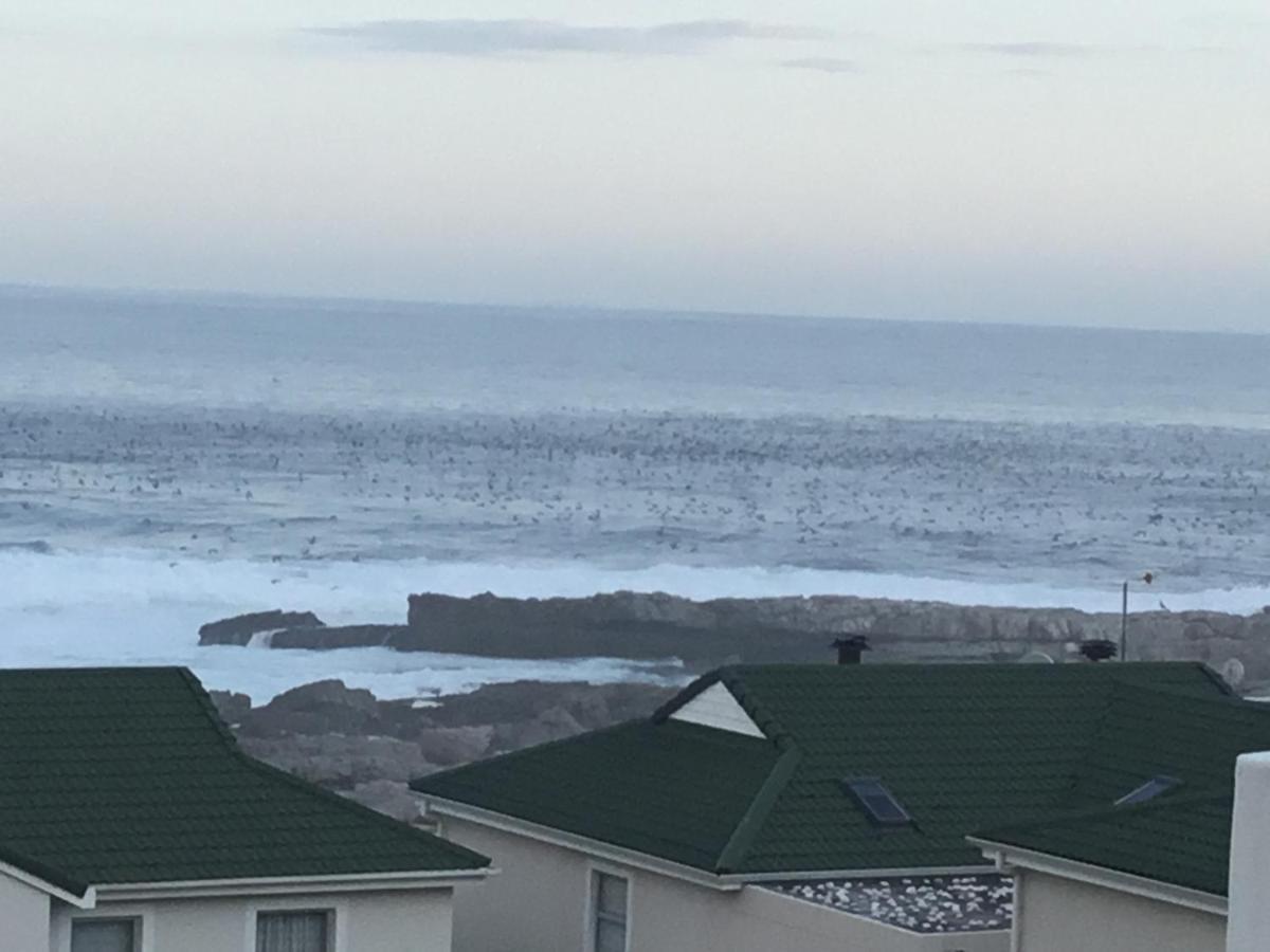 43 Whale Rock Estate Apartment Hermanus Bagian luar foto